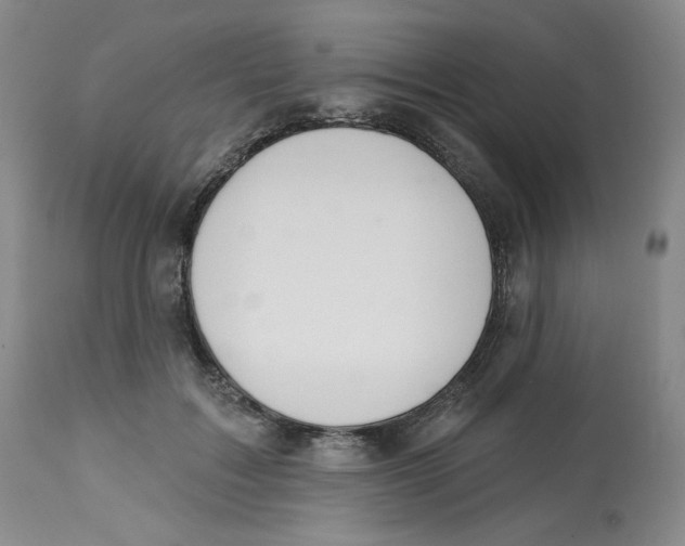 X0000112720603200909171106