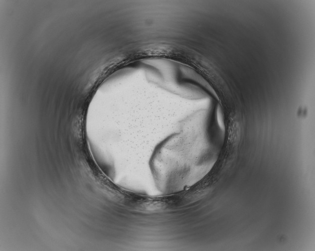 X0000112720604200909171106