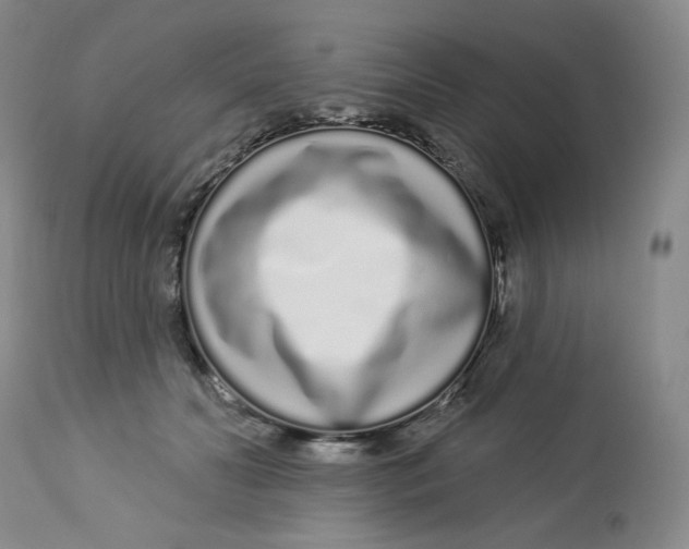 X0000112720606200909171106