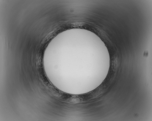 X0000112720608200909171106