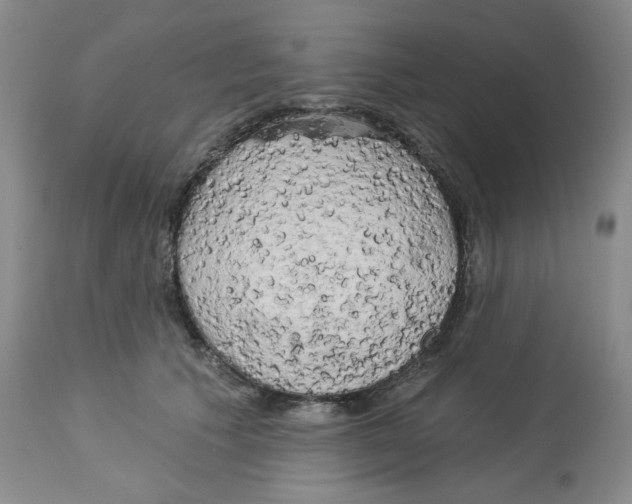 X0000112720609200909171106