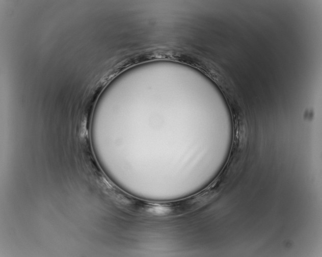 X0000112720610200909171106