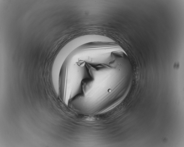 X0000112720611200909171106