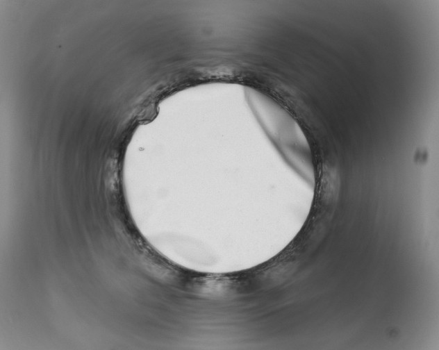 X0000112720612200909171106