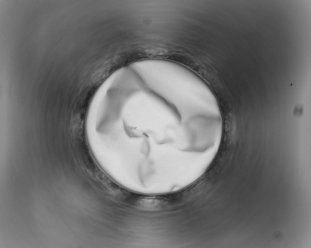 X0000112720614200909171106