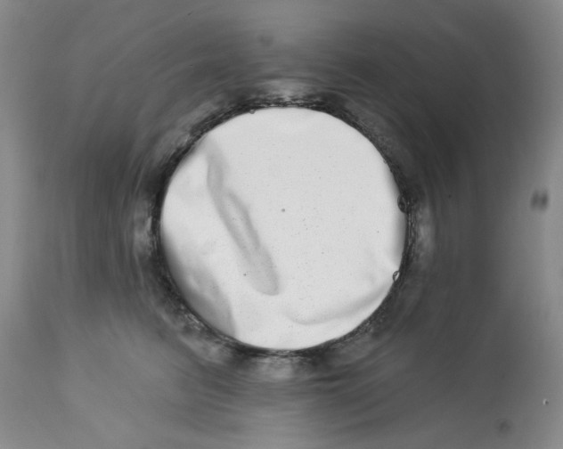 X0000112720615200909171106