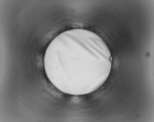 X0000112720616200909171106