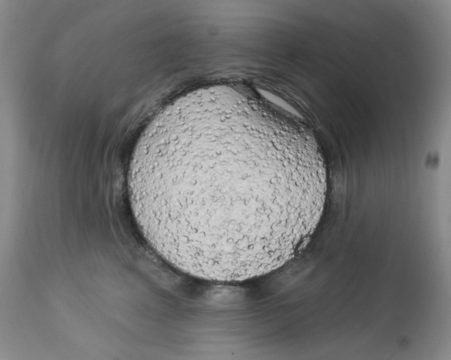 X0000112720617200909171106