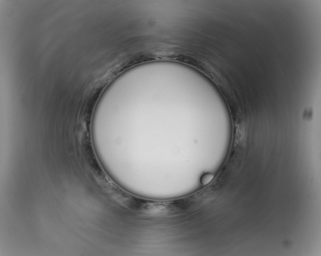 X0000112720618200909171106