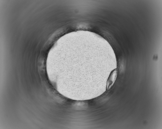 X0000112720619200909171106