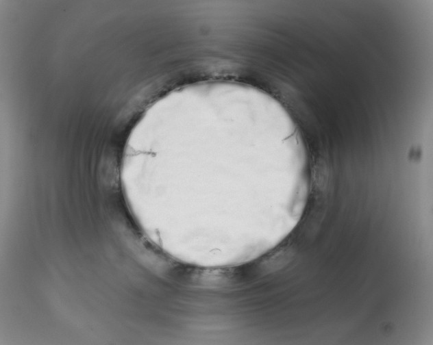 X0000112720622200909171106