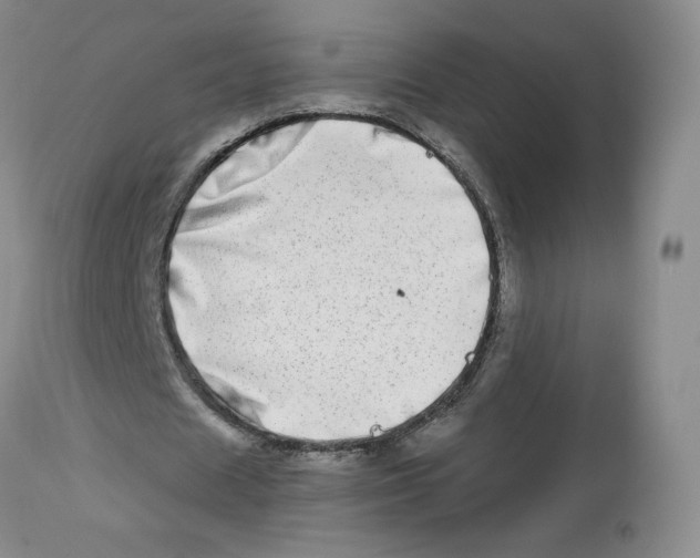 X0000112720625200909171105