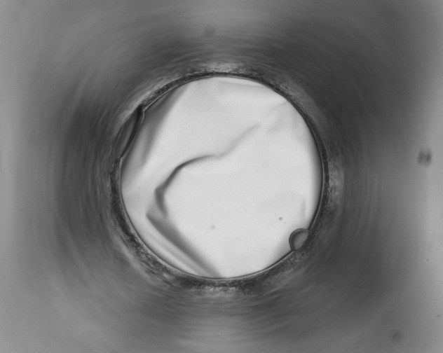 X0000112720626200909171105