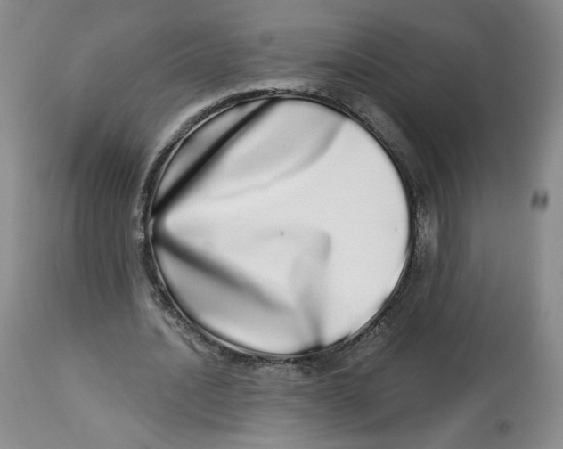 X0000112720628200909171105