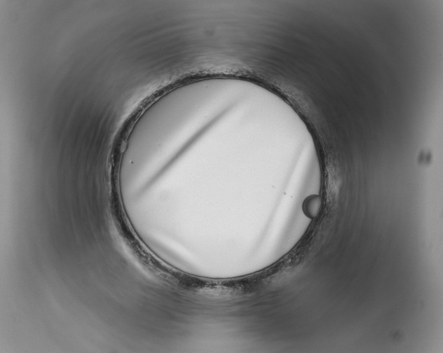 X0000112720630200909171105