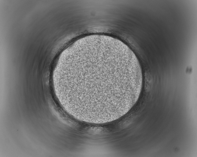 X0000112720631200909171105