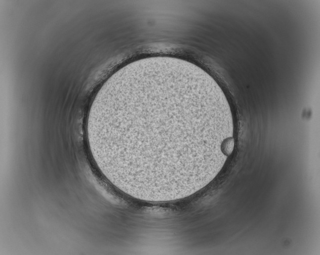 X0000112720633200909171105