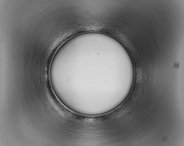 X0000112720634200909171105