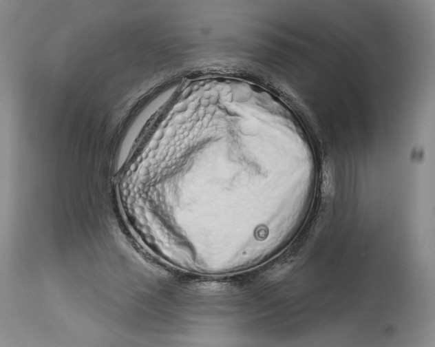 X0000112720637200909171105