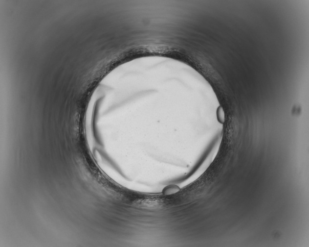 X0000112720639200909171105