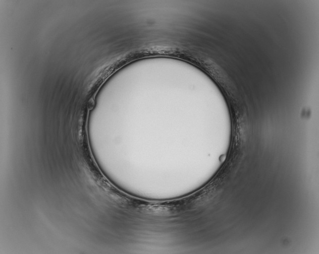 X0000112720640200909171105