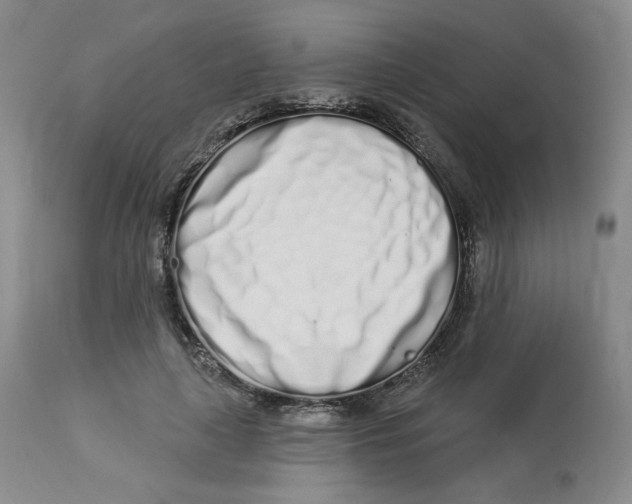 X0000112720643200909171105