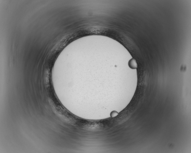 X0000112720646200909171105