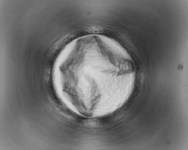 X0000112720652200909171105