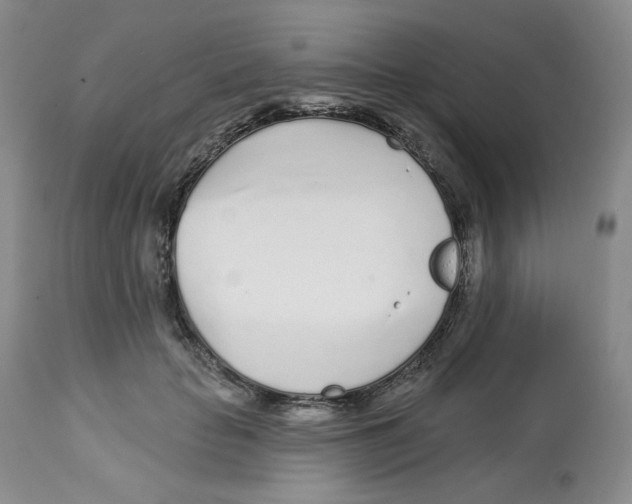 X0000112720653200909171106