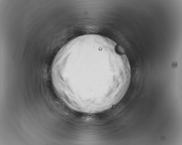 X0000112720655200909171106