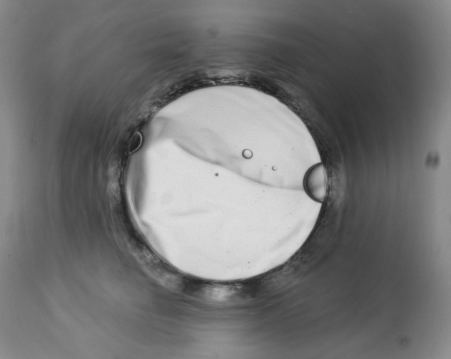 X0000112720662200909171106