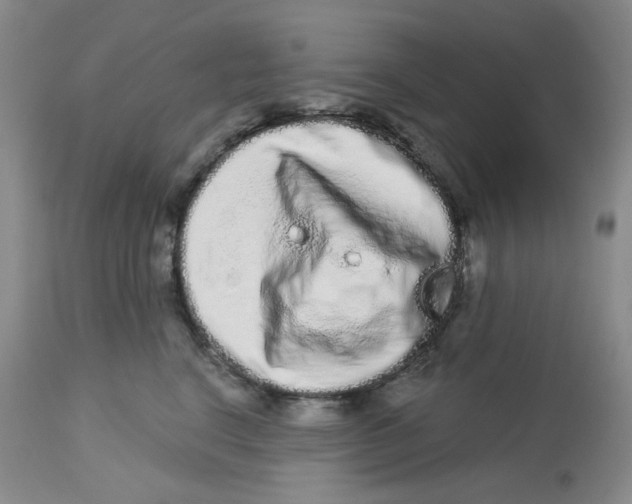 X0000112720664200909171106