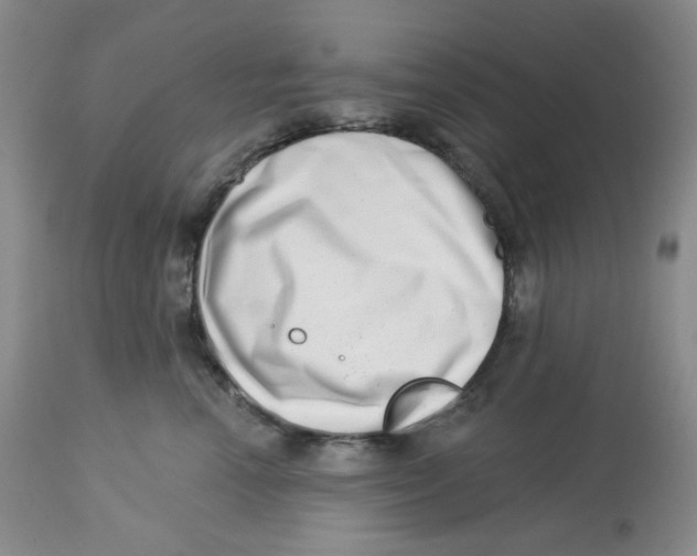 X0000112720666200909171106