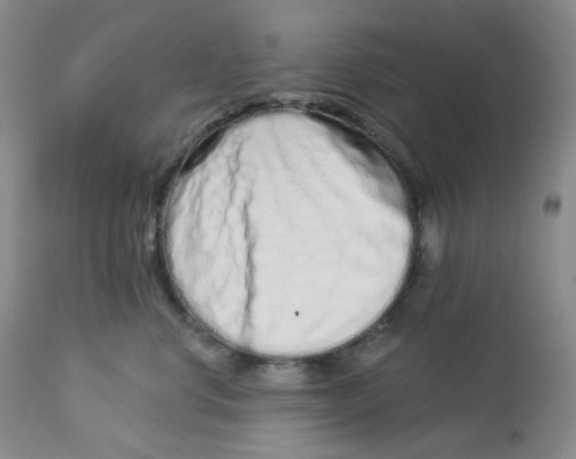 X0000112720668200909171106