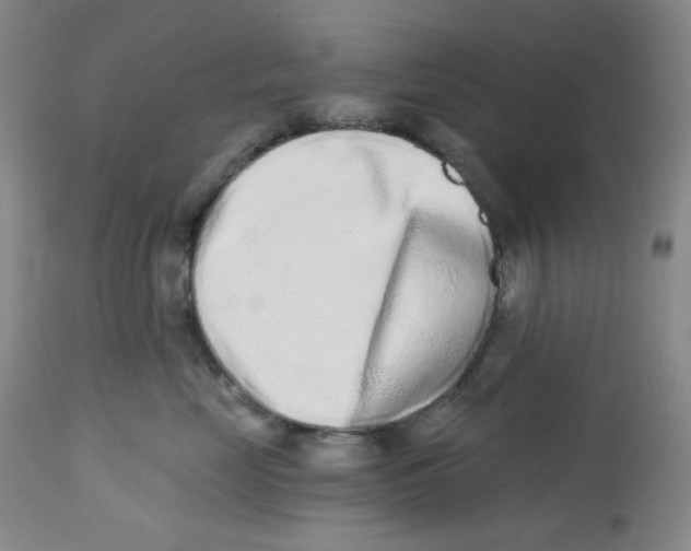 X0000112720669200909171106