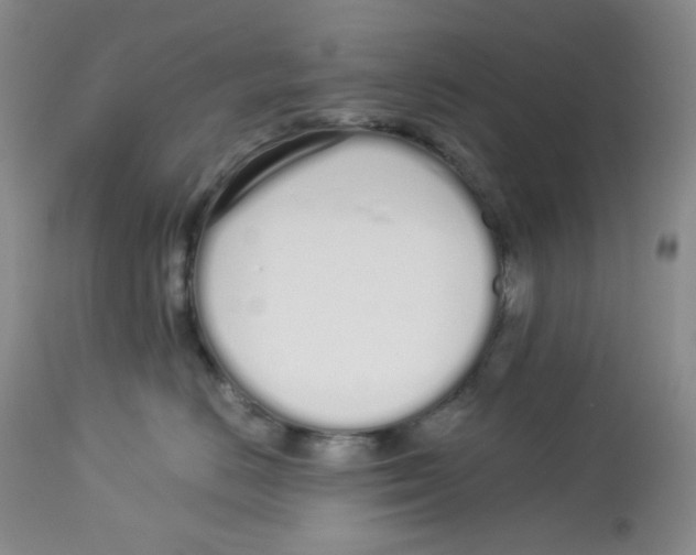 X0000112720670200909171106