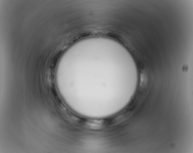 X0000112720671200909171106