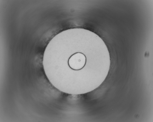 X0000112720672200909171106