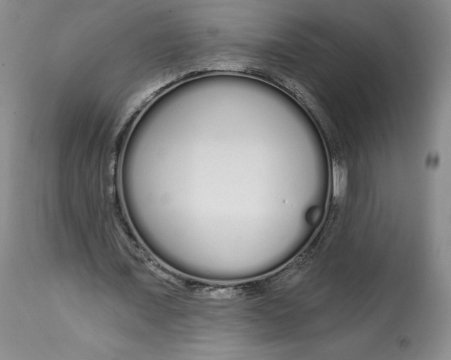 X0000112720675200909171105