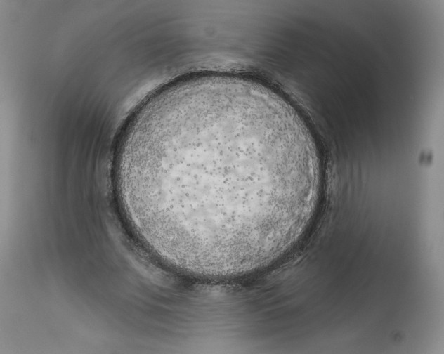 X0000112720679200909171105