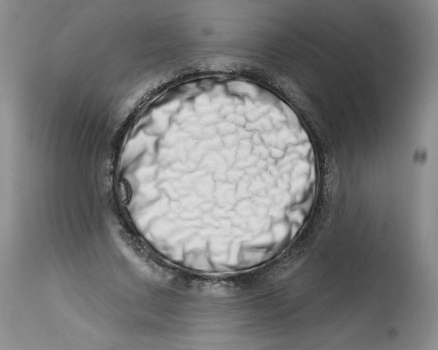 X0000112720683200909171105