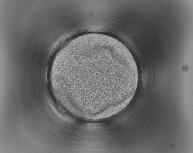 X0000112720686200909171105