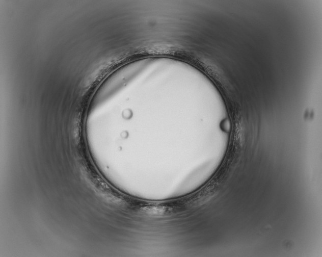 X0000112720687200909171105