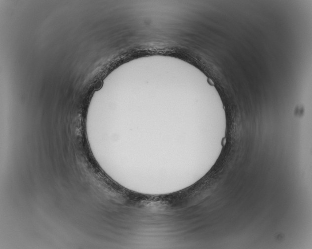 X0000112720689200909171105