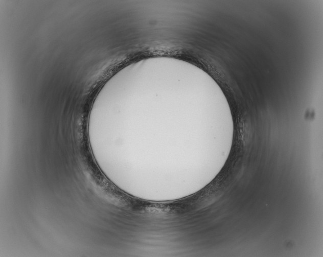 X0000112720690200909171105