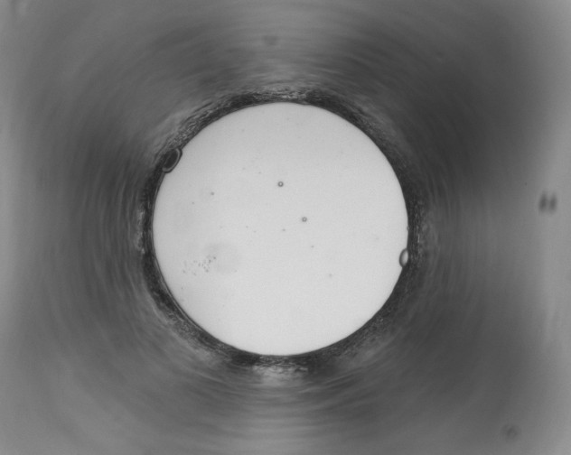 X0000112720693200909171105