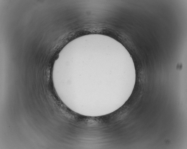 X0000112720697200909171105