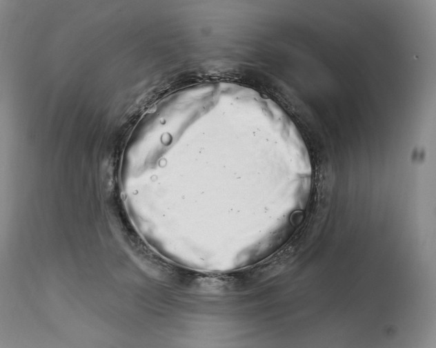 X0000112720703200909171105