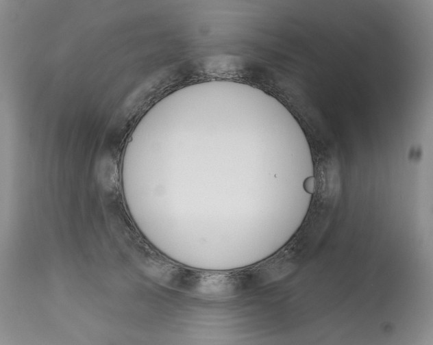 X0000112720705200909171104