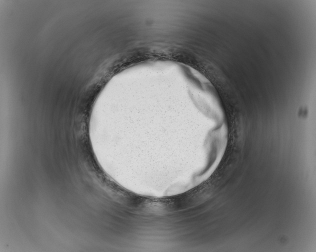 X0000112720706200909171104